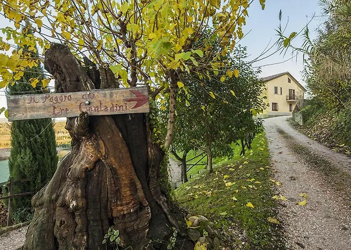 Il Poggio Dei Tre Contadini Casa vacanze Ponte Felcino